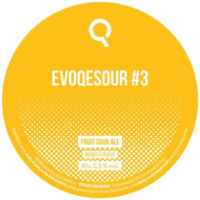 EVOQE - Birra Evoqesour#3 Fruit Sour Ale 5.5%vol - Polykeg 24lt