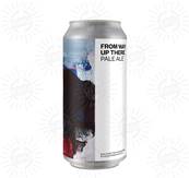 BOUNDARY (NIR - UK) - Birra From Way Up There Pale Ale 4,3%vol - Lattina 440ml