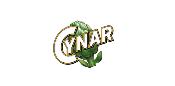 CYNAR