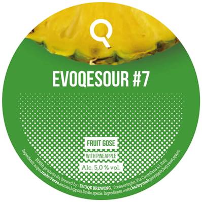 EVOQE - Birra Evoqesour#7 Fruit Gose con anans 5%vol - Polykeg 24lt