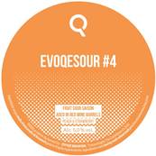 EVOQE - Birra Evoqesour#4 Fruit Sour Saison 5%vol - Lattina 330ml