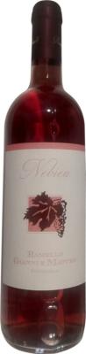 RAMELLO G&M - Vino Nebieu 2024 D.O.C. 13,5%vol - Bottiglia 750ml